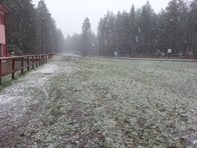 Esimene lumi Alutagusel Foto:Timo Juursalu