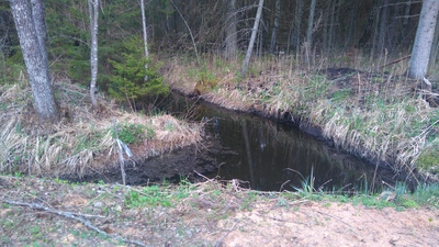 11. juunil toimub esimene Tõrva Ekstreemjooks