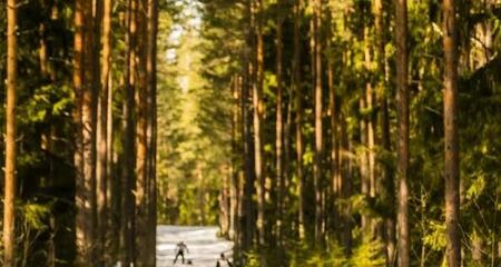 Tallinna suusamaratoni korraldustööd on täies hoos