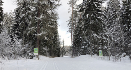 VÄHEM KUI ÜKS KUU TARTU MARATONINI: Seis on lubav!