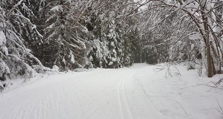 Suusasõbrad saavad ennast proovile panna laupäeval Kõrvemaal toimuval Tallinna Suusamaratonil