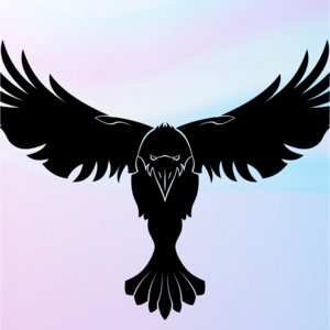 Kehtna triatlon 2023